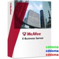 McAfee eBusiness Server Partner Edition 1-1