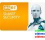 ESET Smart Security 7 (від 2 до 24 ПК)